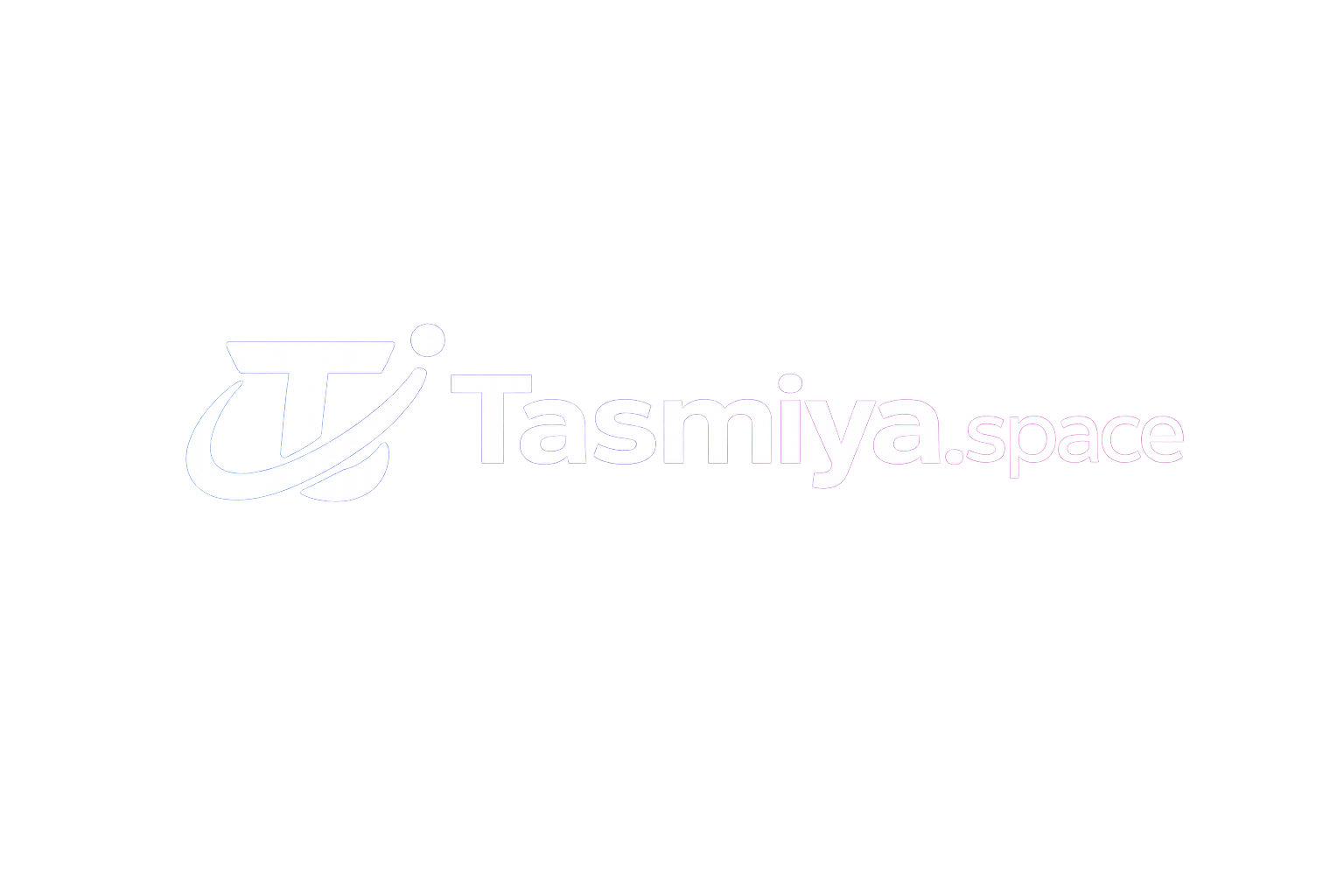 wordpress developer